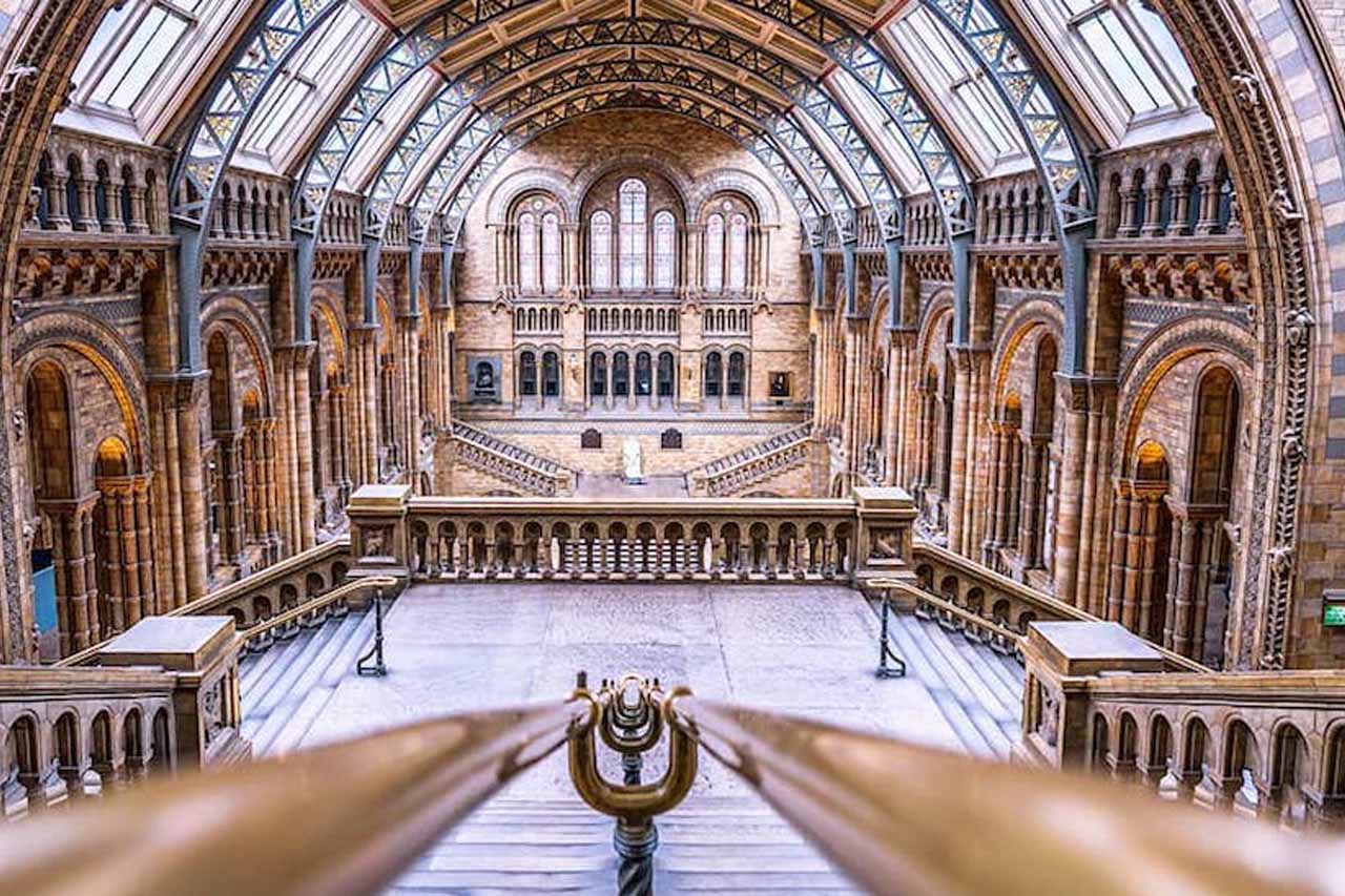 Natural History Museum.jpg